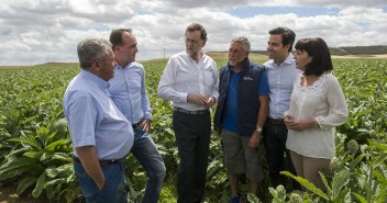 Rajoy visita una finca de alcachofas en Tudela