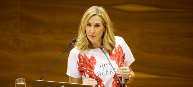 La presidenta y portavoz parlamentaria del PPN, Ana Beltrán
