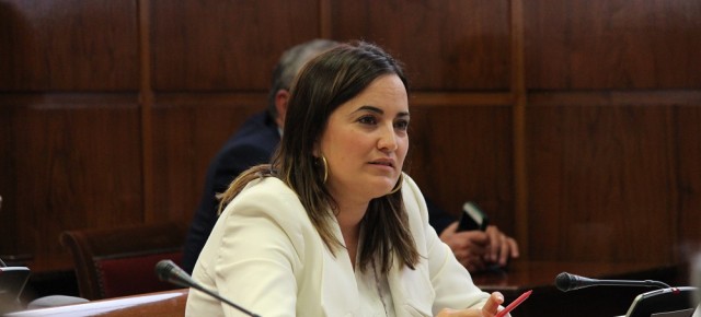 La senadora navarra, Cristina Sanz